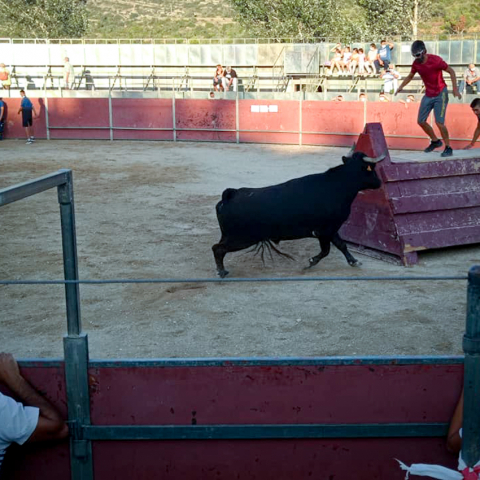 ACTES TAURINS ACTES TAURINS