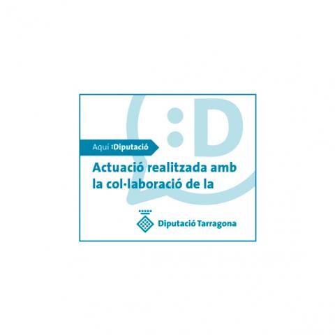 PLA D'ACCIÓ MUNICIPAL Diputació de Tarragona