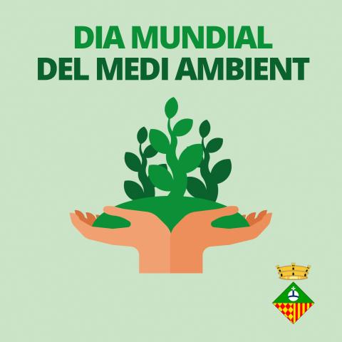 Dia Mundial Medi Ambient Dia Mundial Medi Ambient