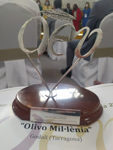 OLIVERA MIL·LENÀRIA | PREMI #AEMO A LA MILLOR OLIVERA MONUMENTAL D'ESPANYA 2021.
