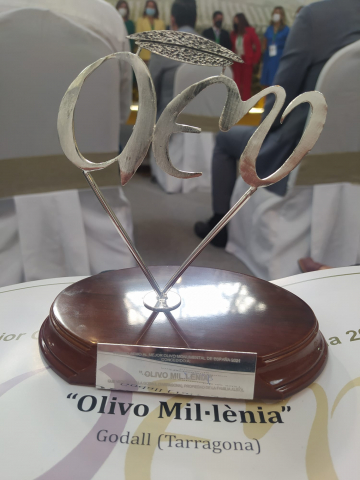 OLIVERA MIL·LENÀRIA | PREMI #AEMO A LA MILLOR OLIVERA MONUMENTAL D'ESPANYA 2021. OLIVERA MIL·LENÀRIA | PREMI #AEMO A LA MILLOR OLIVERA MONUMENTAL D'ESPANYA 2021.