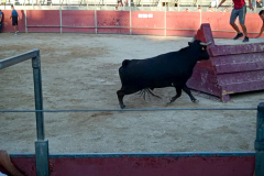 ACTES TAURINS