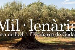 Mil·lenària de Godall